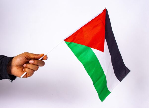 Small Palestine Flag