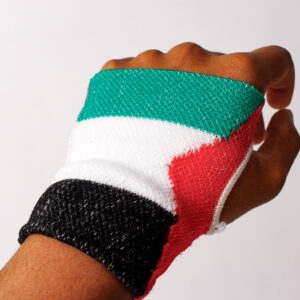 Palestine Theme Wrist Glove